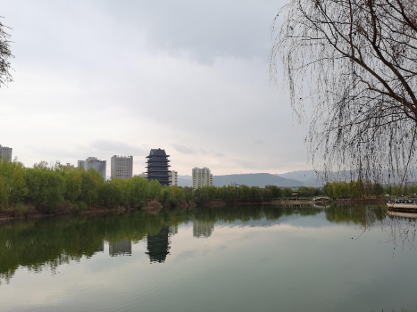兰州银滩黄河湿地公园。新甘肃·甘肃日报记者杜雪琴摄.jpg 兰州银滩黄河湿地公园。新甘肃·甘肃日报记者杜雪琴摄.jpg