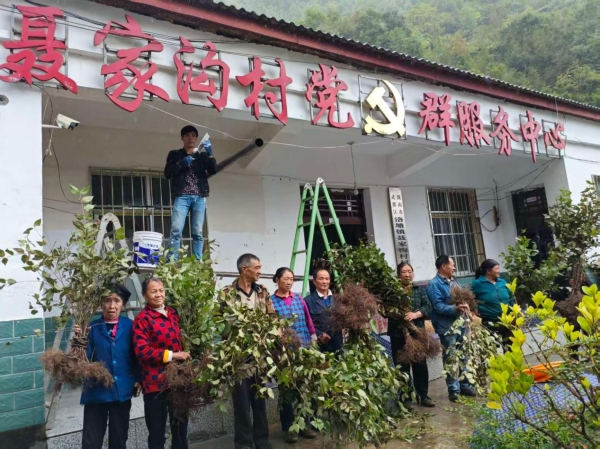 深耕特色产业 厚植振兴根基——省经济研究院驻聂家沟村帮扶队开展山茱萸补种活动